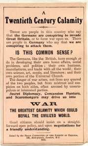 Twentieth century calamity. Peace Committee 1912